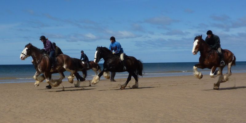 beach horse ride uk
