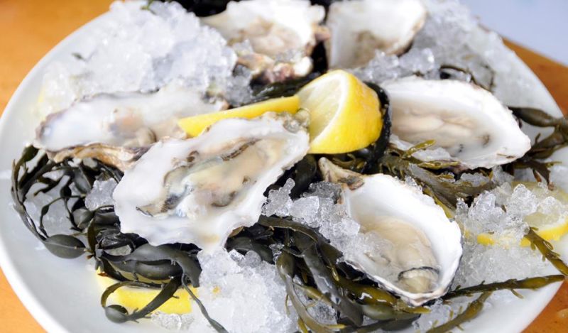 Rock Oyster Festival 2015