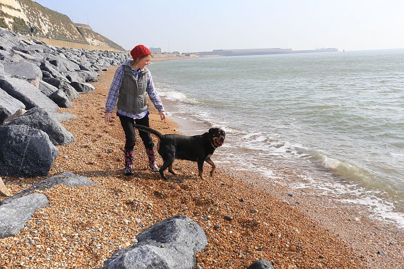 Shakespeare Beach in Dover Re-opens