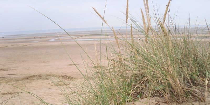 Camber Sands East Sussex