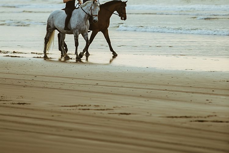 Horse Riding Beaches