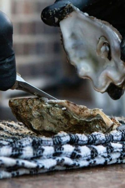 Oyster Festivals